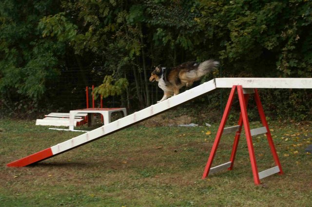 agility 2011-10-30